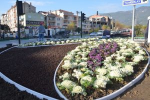 Bursa Gemlik'te kaldırımlar renkleniyor