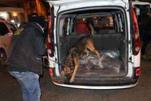 Diyarbakır'da 900 polisle dev uygulama