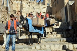 Kadrolu 3 eşek t&ouml;renle emekli edildi