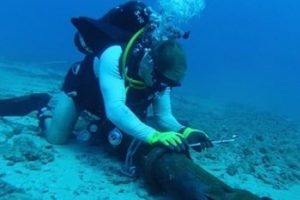 İngiltere'den uyarı: Rusya iletişim hatlarına saldırabilir