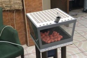 Elazığ'da tombala operasyonu