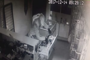 Alarma aldırış etmeden soydular