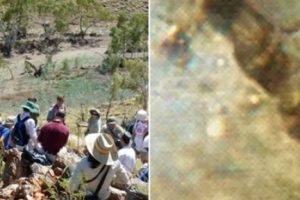 Avustralya'da d&uuml;nyanın en eski fosilleri bulundu