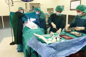 Bursa Uludağ &Uuml;niversitesi organ naklinde d&ouml;n&uuml;ş&uuml;me hazırlanıyor