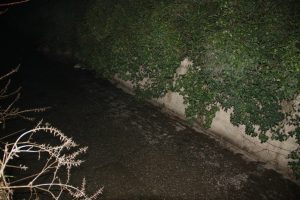 Polisten ka&ccedil;an hırsız dereye atlayarak ka&ccedil;tı