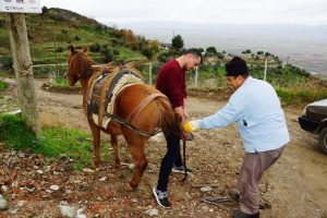 Randevu ile nal &ccedil;akıyor
