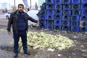 Kaşla g&ouml;z arasında 3,5 ton lahana &ccedil;aldılar
