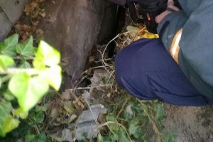 İstinat duvarı boşluğunda mahsur kalan k&ouml;peği itfaiye kurtardı