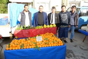Kumyaka narenciyesi Bursa'da pazarın g&ouml;zdesi oldu