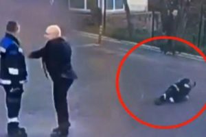 İstanbul Zabıta Daire Başkanı'ndan bayıltan dayak!