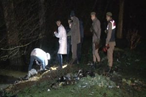 Ormanlık alanda erkek cesedi bulundu!