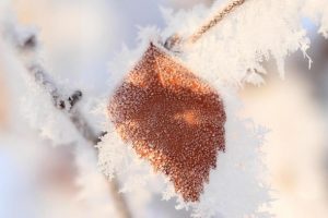 Meteorolojiden 5 il i&ccedil;in buzlanma ve don uyarısı