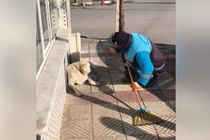 Sokak k&ouml;peğine serenat
