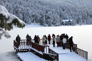 G&ouml;lc&uuml;k Tabiat Parkı'ndaki g&ouml;l buz tuttu