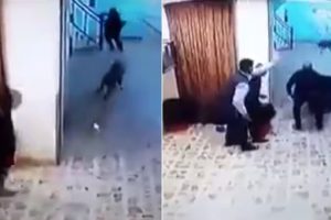 Hastanede sırtlan paniği