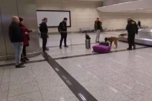 T&uuml;rkiye'den misilleme! D&uuml;n gece b&ouml;yle arandılar