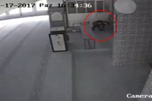 Camiden hırsızlık kamerada