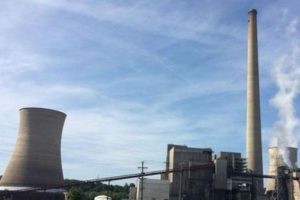 Global Enerji hakkında iflas kararı