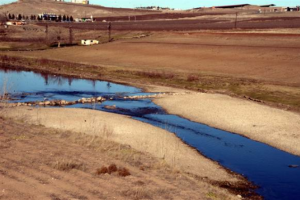 Dicle Nehri'nde şimdi de su kalmadı!
