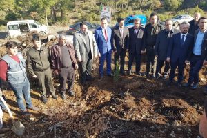 Bursa B&uuml;y&uuml;korhanlı şehidin adı hatıra ormanında yaşayacak