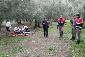Bursa'da zeytin tarlasındaki kız kavgası kanlı bitti