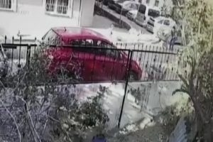 Pitbullun sokak k&ouml;peğine saldırdığı anlar kamerada