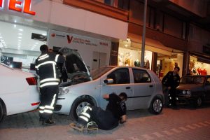 Bursa'da yaramaz kedi 8 saatte ancak yakalanabildi