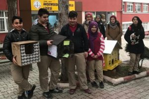 &Ouml;ğrencilerden sokak kedilerine sıcak yuva