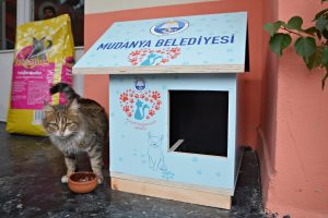 Bursa Mudanya'da can dostlar i&ccedil;in işbirliği