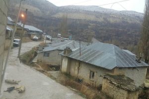Mersin'de kopan elektrik telleri k&ouml;pekleri telef etti