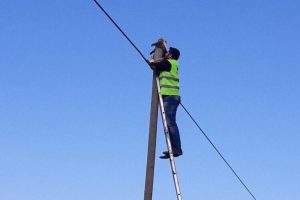 Yaramaz kedi telefon direğinde mahsur kaldı