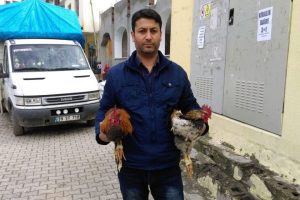Hindiler t&uuml;kenince horoz aldılar