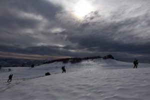 Ter&ouml;r &ouml;rg&uuml;t&uuml;ne bir darbe daha