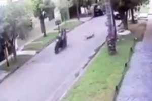 Soyguncu motosikletiyle k&uuml;&ccedil;&uuml;k &ccedil;ocuğa &ccedil;arptı