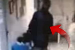 Sağlık ocaklarının kabusu! Her yerde aranıyor