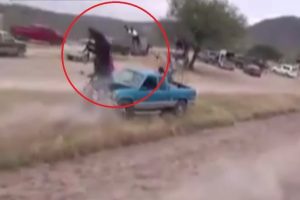 Yarış atı araca b&ouml;yle &ccedil;arptı
