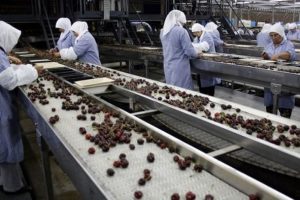 Tekfen Holding'den Bursa'da 50 milyon liralık satın alma!