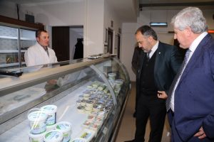 Bursa'da dağın can simidinde kapasite artıyor