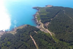 N&uuml;kleer santral kurulacak alan havadan g&ouml;r&uuml;nt&uuml;lendi