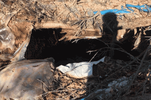 Tunceli'de ter&ouml;r &ouml;rg&uuml;t&uuml;ne darbe