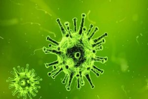Zika vir&uuml;s&uuml; nedir?