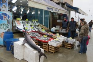 Bursa'da dev kılı&ccedil; balığı g&ouml;renleri şaşkına d&ouml;nd&uuml;rd&uuml;