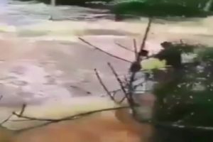 Tsunami b&ouml;yle yuttu