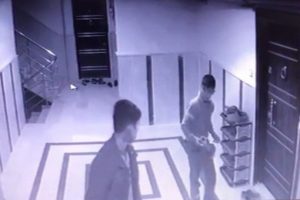 Ayakkabı hırsızlığı kamerada