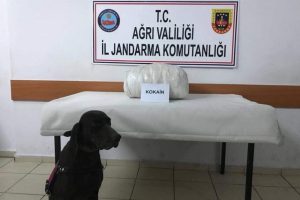 Ağrı'da uyuşturucu operasyonu