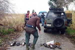 Milliparka gizlice girip &ouml;rdekleri katlettiler