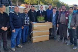 Bursa'da B&uuml;y&uuml;korhan &ccedil;ift&ccedil;isine 1.7 milyonluk destek