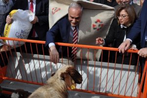Fakıbaba &ccedil;oban abası giydi, kuzuları besledi