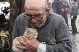 'Lokmamı bile kedilerimle paylaşıyorum'