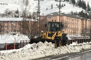 Bitlis 45 k&ouml;y yolu ulaşıma kapalı
